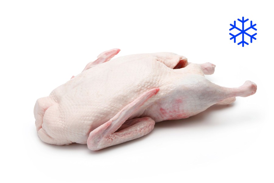 1477-5131700_kachna_mr_webxl 1477-5131700_kachna_mr_webxl