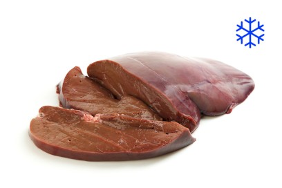 6642-5220400_t_jatra_mr_web