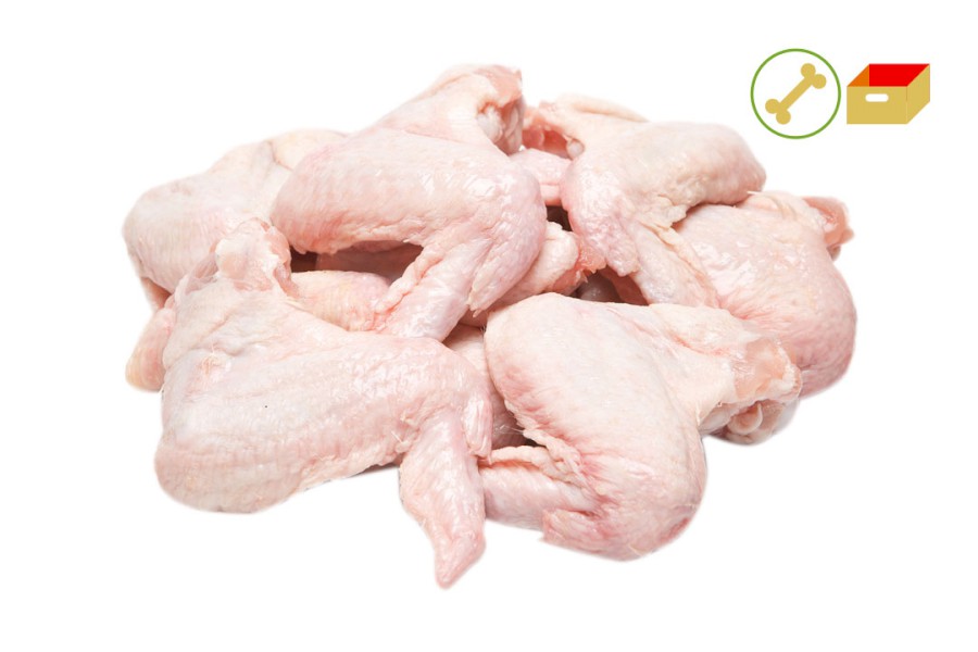 955-4100500_k_kridla_pikt_2_web