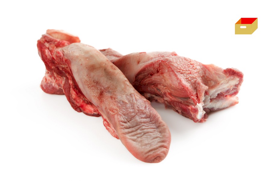 1025-4210600_v_jazyk_pikt_webxl 1025-4210600_v_jazyk_pikt_webxl