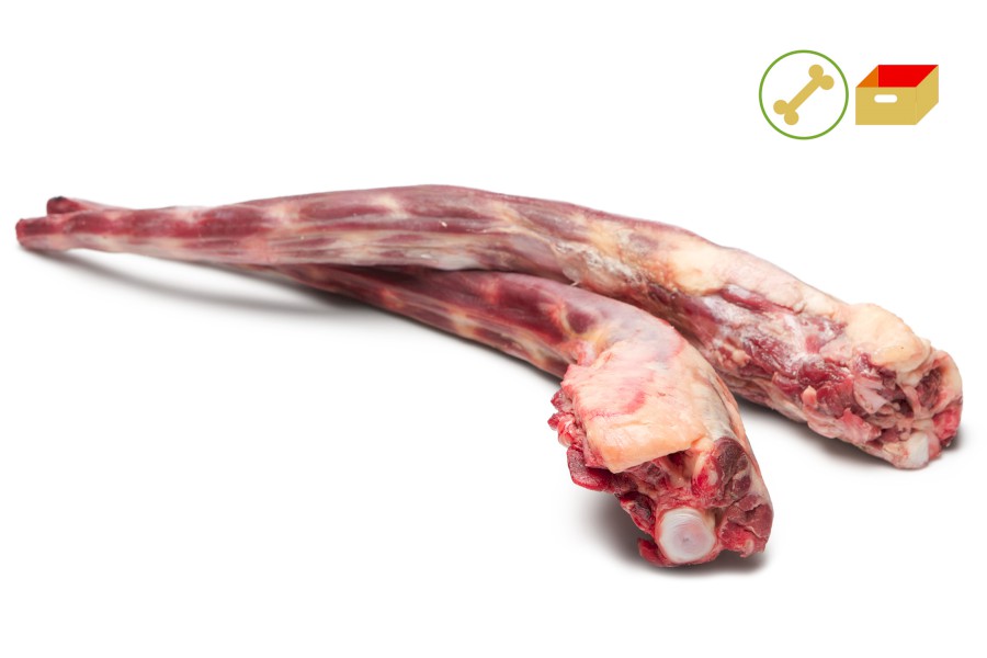 1258-4517500_hovezi_ohanka_pikt_webxl 1258-4517500_hovezi_ohanka_pikt_webxl