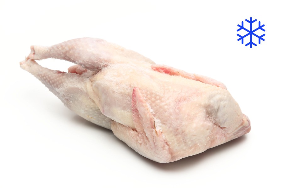 1506-5150100_slepice_mr_webxl