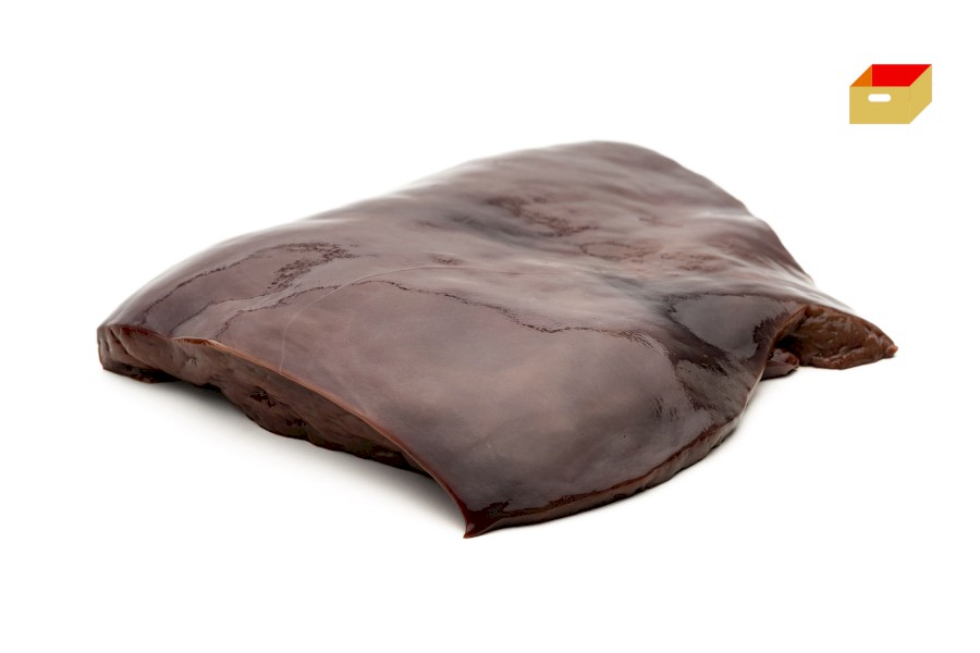 1046-4230100_h_jatra_pikt_webxl 1046-4230100_h_jatra_pikt_webxl