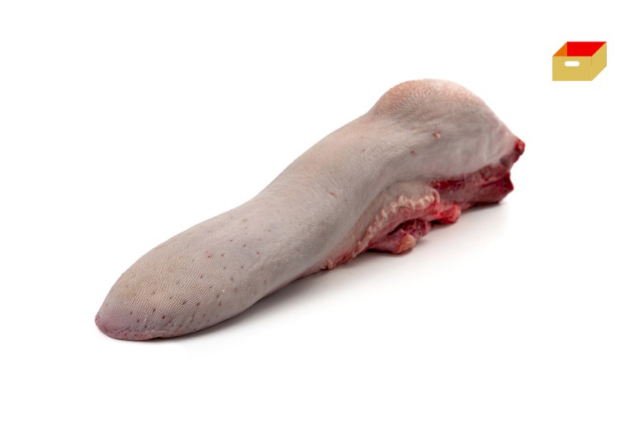 1051-4230400_h_jazyk_pikt_web 1051-4230400_h_jazyk_pikt_web