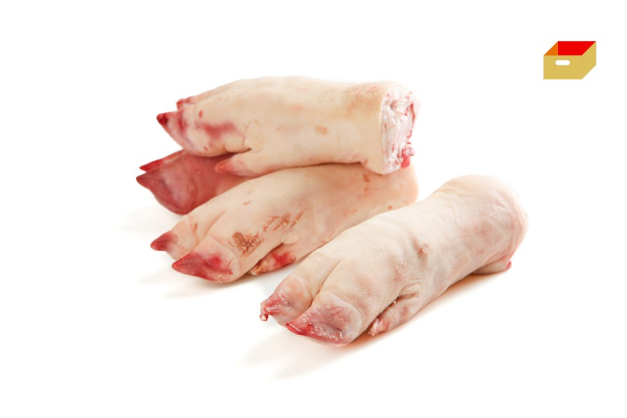 1100-4318000_v_nozicky_pikt_webxl 1100-4318000_v_nozicky_pikt_webxl