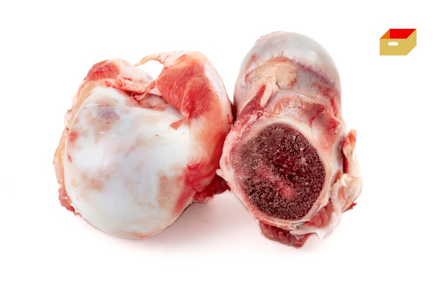 1226-4416200_h_kost_kloubove_pikt_webxl 1226-4416200_h_kost_kloubove_pikt_webxl