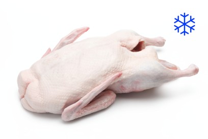 1481-5132200_kachna_mr_2_webxl