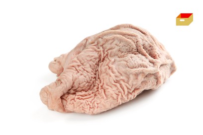 1027-4210700_v_zaludek_pikt_webxl