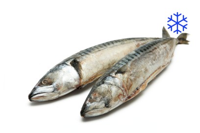 1712-5900700_makrela_mr_webxl