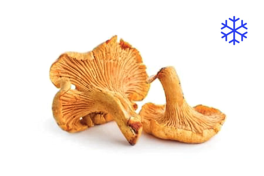 1835_6108600_LISKY_WEB_MR