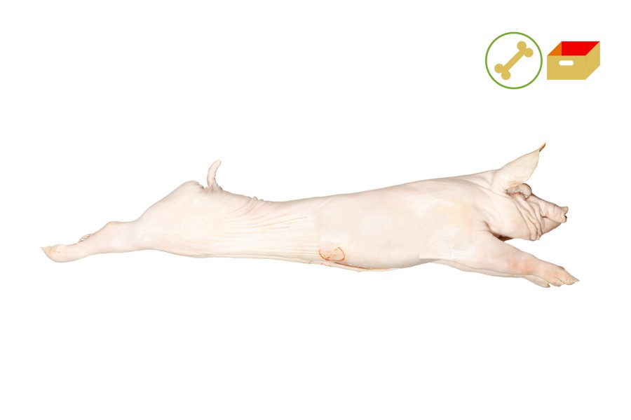 1214-4390000_sele_cele_pikt_webxl