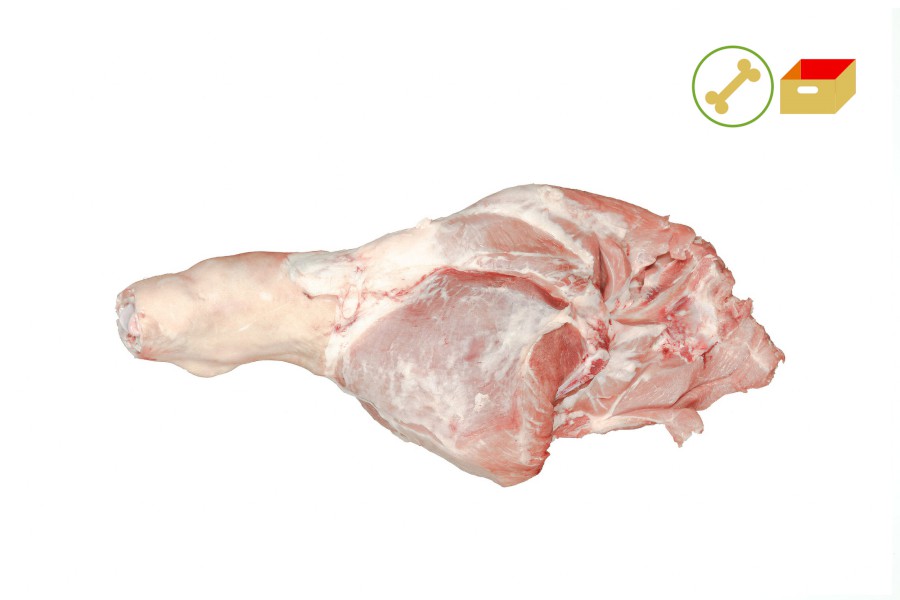 1149-4324000_v_kyta_sk_pikt_webxl