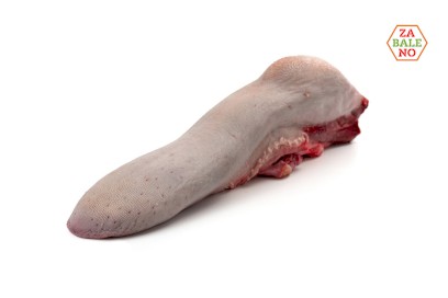 3220-4230402_h_jazyk_pikt_web