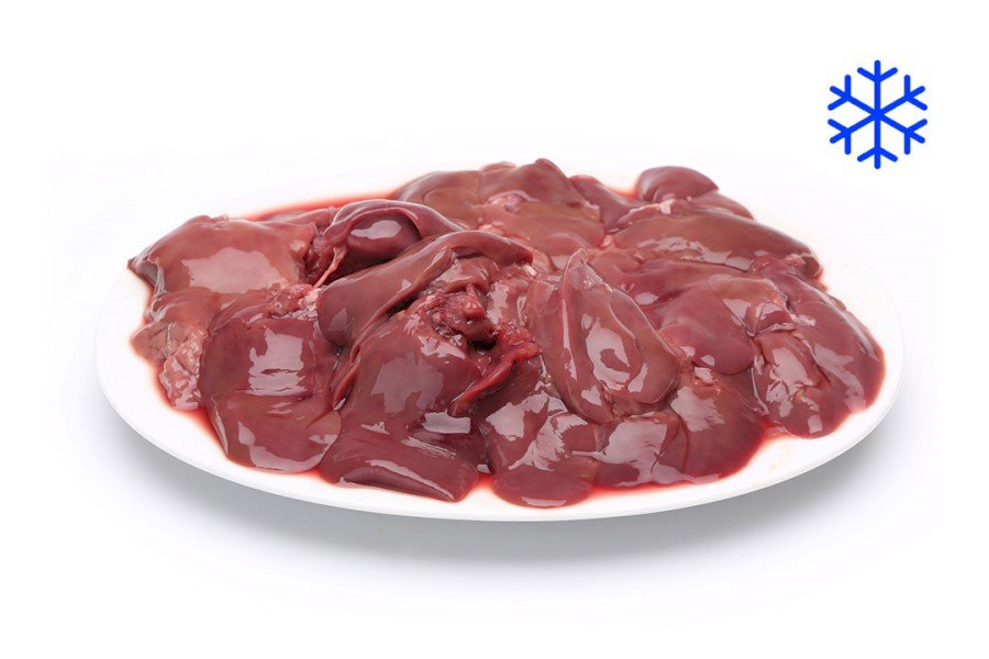 1513-5200500_k_jatra_mr_web