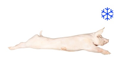 1625-5390200_sele_nad_30kg_mr_webxl