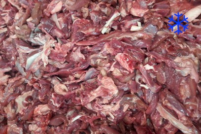 1692-5810300_jeleni_orez_mr_web