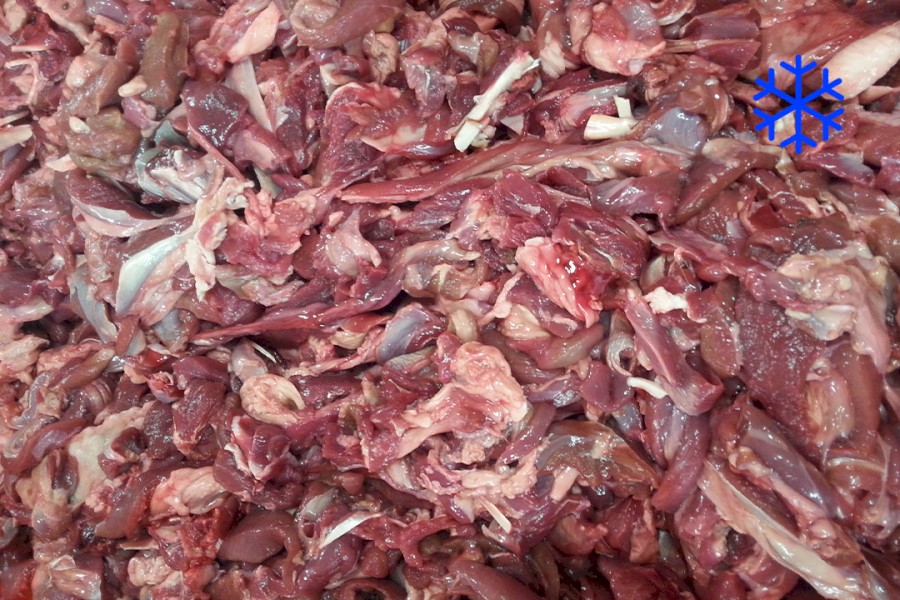 1692-5810300_jeleni_orez_mr_web 1692-5810300_jeleni_orez_mr_web