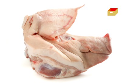 1095-4317000_v_hlava_pikt_webxl