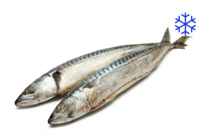 1711-5900600_makrela_mr_webxl