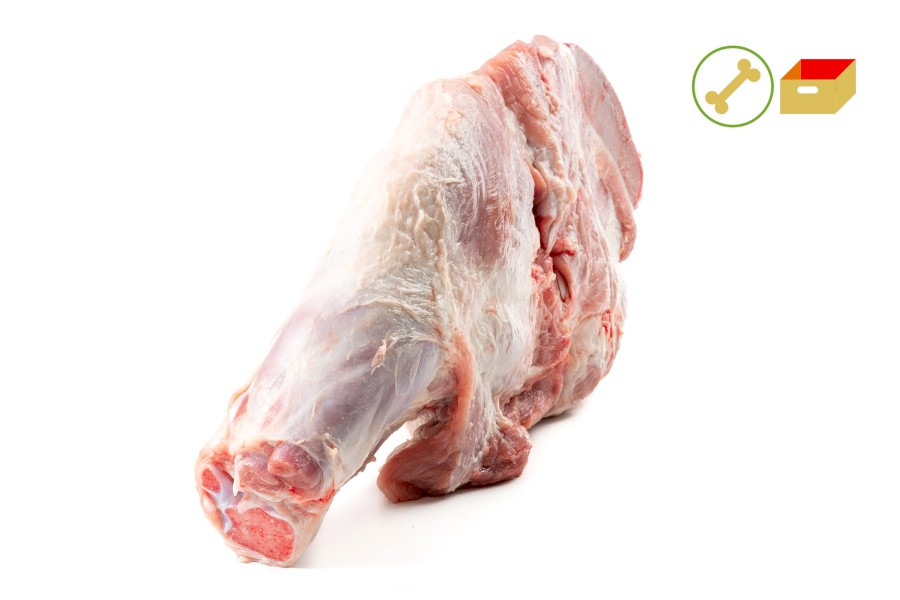 1161-4326000_v_plec_sk_pikt_webxl