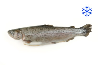 1719_5905800_PSTRUH_MR_WEBXL