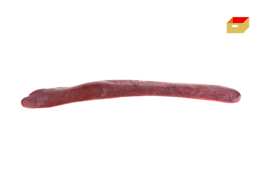 1024-4210500_v_slezina_pikt_web