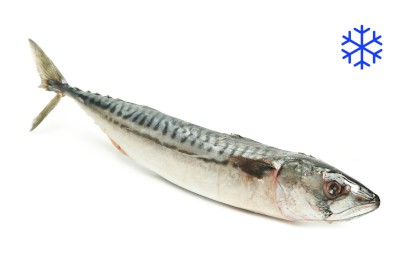 1713-5900800_makrela_mr_webxl