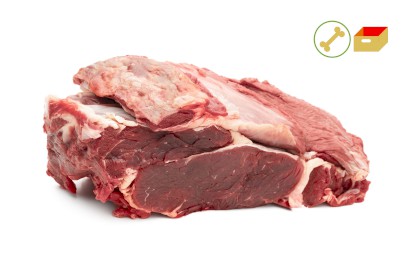 1261-4521100_h_predni_pikt_webxl