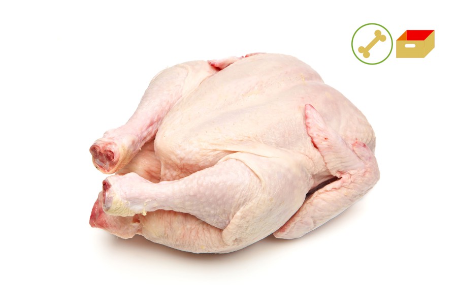 7037-4105100_cz_kure_pikt_webxl 7037-4105100_cz_kure_pikt_webxl